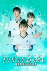 Nonton Drama Jepang Unsung Cinderella: Midori, The Hospital Pharmacist (2020) Sub Indo