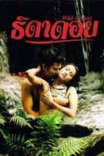 Nonton Film Wild Orchid (2010) Sub Indo