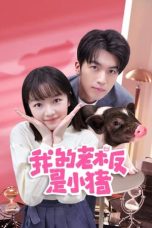 Nonton Drama China My Piggy Boss (2024) Sub Indo